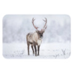 Rendier - Gewei - Toendra - Sneeuw - Wild Badmat klein -3d