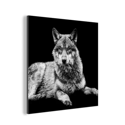 Wilde dieren - Wolf - Zwart - Wit aluminium wit klein -3d