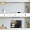 De storm op het meer van Galilea - Rembrandt van Rijn keuken achterwand spatscherm klein -voor_na_NL