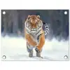 Tijger - Landschap - Sneeuw - Winter - Dieren tuinposter los doek klein -3d