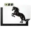Zwart - Paard - Portret Inductie beschemer met haakjes klein -3d