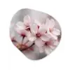 Bloesems - Meeldraden - Geel - Wazig Wandcirkel Organisch Forex 3mm klein -3d
