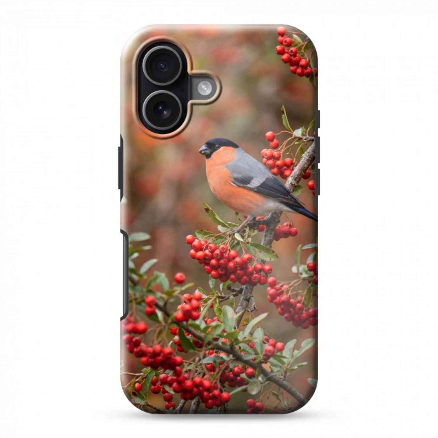 Goudvink - Bessen - Herfst - Natuur - Kleurrijk Toughcase MagSafe Apple iPhone 17 klein -3d