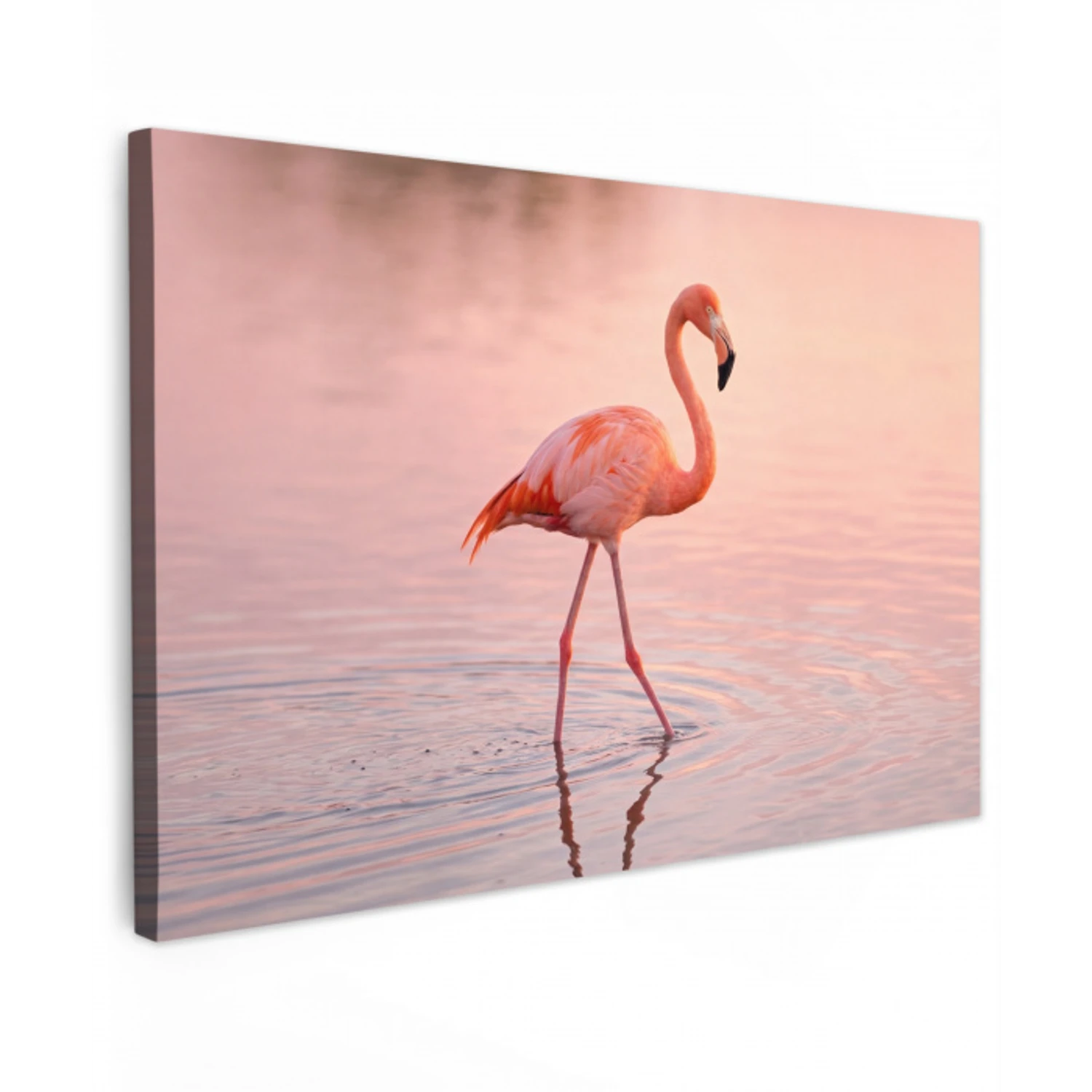 Flamingo - Water - Roze canvas 2cm klein -z3d