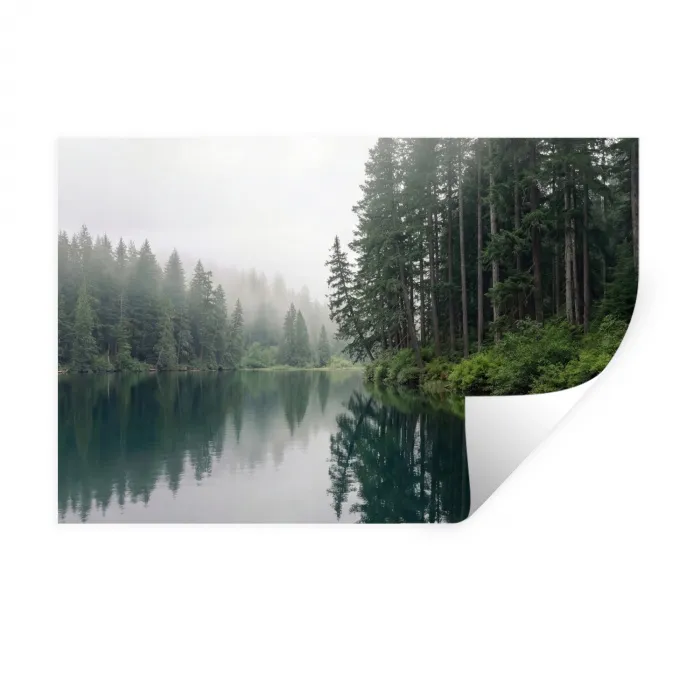 Bergen - Meer - Bos Muursticker klein -3d