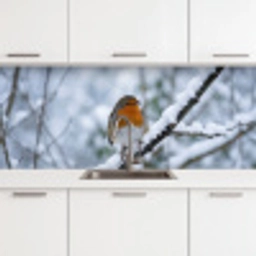 Roodborstje - Tak - Sneeuw - Winter - Levendig keuken achterwand 2 middel -3d