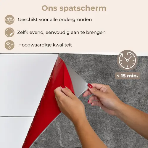 Beton - Muur - Cement keuken achterwand spatscherm klein -spatscherm_NL