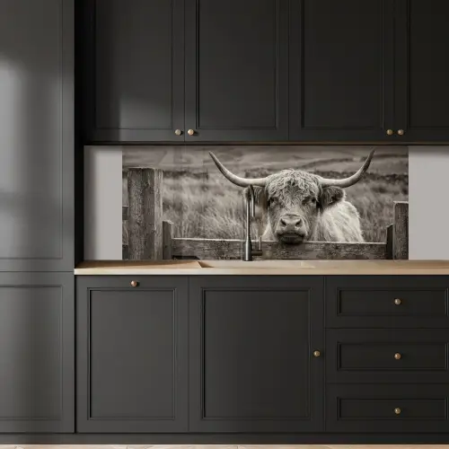 Schotse hooglander - Zwart - Wit - Hout keuken achterwand 2 middel -sfeer1