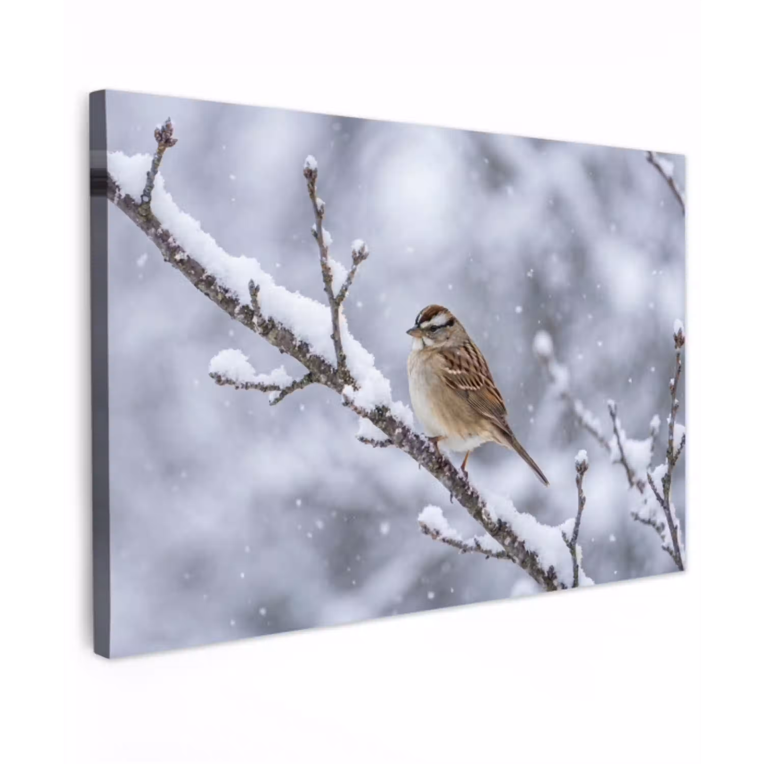 Vogel - Tak - Sneeuw - Winter Tuinposter op houten frame 2 cm dik klein -3d