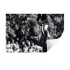 Springen - Paard - Zwart - Wit Muursticker klein -3d