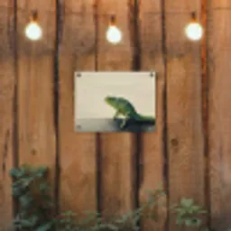 Kameleon - Groen - Minimalistisch tuinposter los doek klein -sfeer1