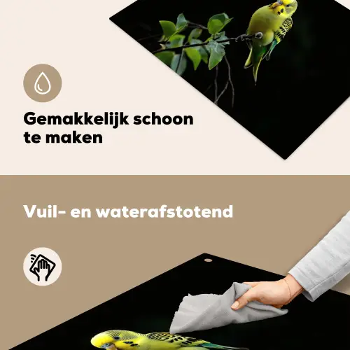 Parkiet - Tak - Bladeren - Geel Inductie beschemer met haakjes klein -ky-schoon-nl