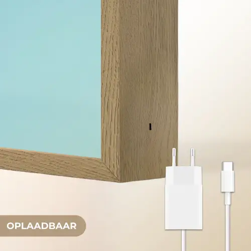Kiwi - Blauw - Surrealistisch Light Box met batterij (Wandlamp) middel -USP_websiteoplaadbaarNL