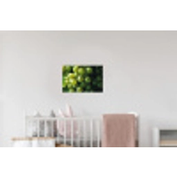 Druiven - Tros - Groen Muursticker klein -kinderkamer