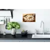 Hout - Wereldkaart - Bakken - Keuken Muursticker klein -keuken