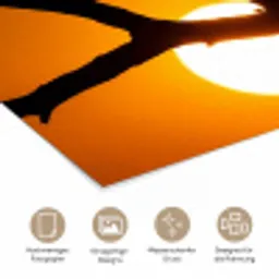 Gier - Tak - Zon - Oranje poster papier klein -tcloseup_DE