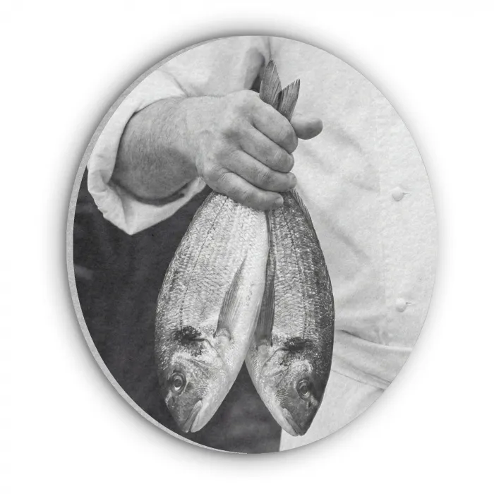 Vissen - Chef - Zwart - Wit Akoestische PET Vilt - Rond klein -3d