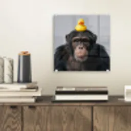 Chimpansee - Badeend - Grijs plexiglas 5mm klein -sfeer1