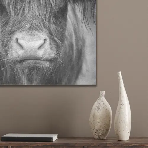 Schotse hooglander - Koe - Zwart - Wit - Dieren PET vilt klein -sfeer6_closeup