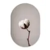 Katoenbol - Minimalistisch - Wit Wandcirkel Ovaal Forex klein -3d