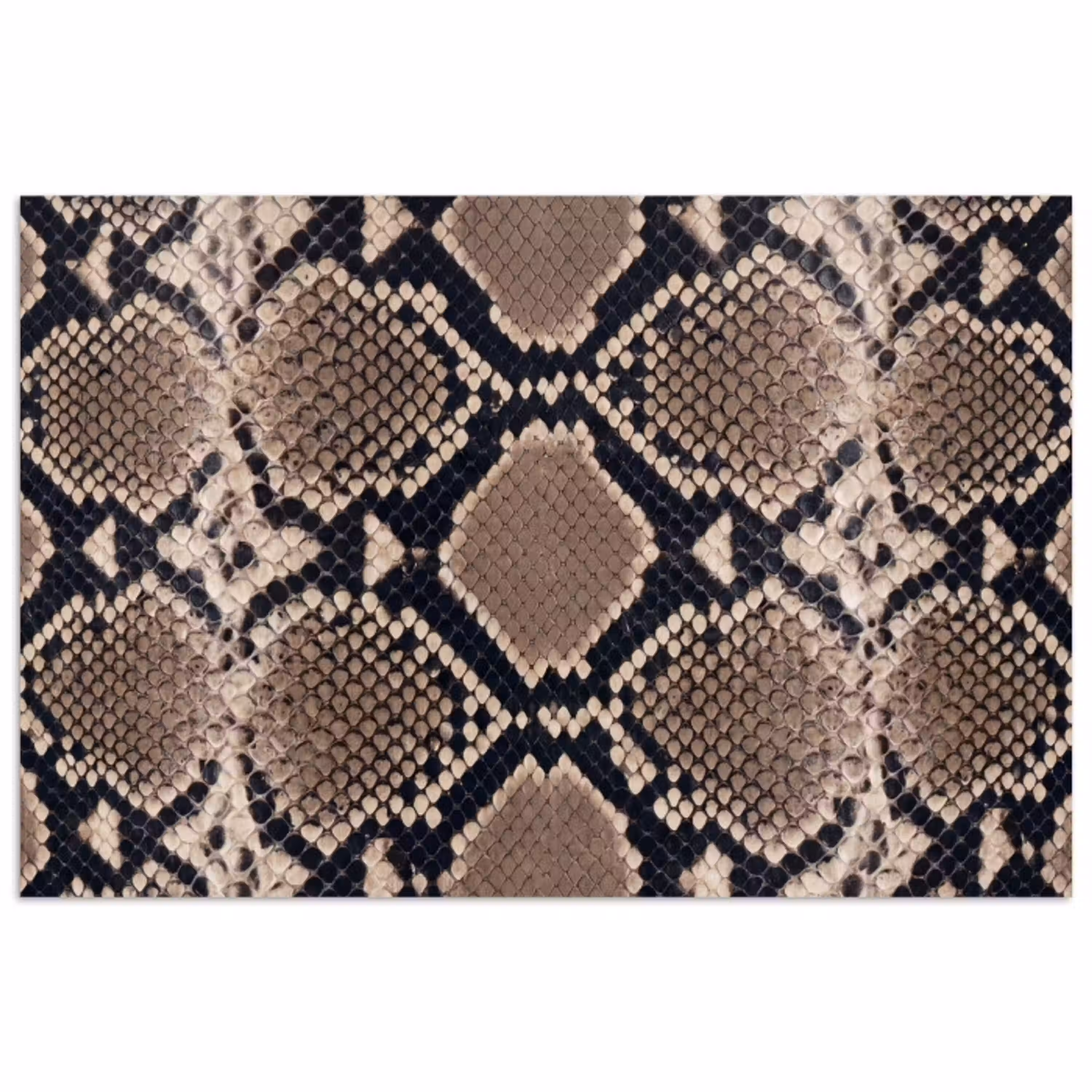 Slangenprint - Python - Bruin poster papier klein -3d