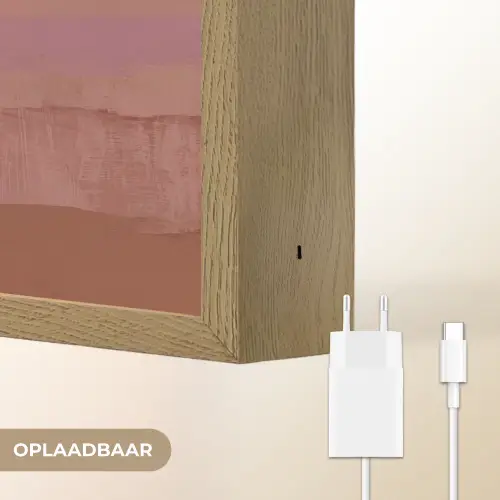 Vogels - Snavel - Abstract Light Box met batterij (Wandlamp) middel -USP_websiteoplaadbaarNL