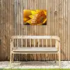 Zonnebloem - Close up - Geel - Quote Tuinposter op houten frame 2 cm dik klein -sfeer4
