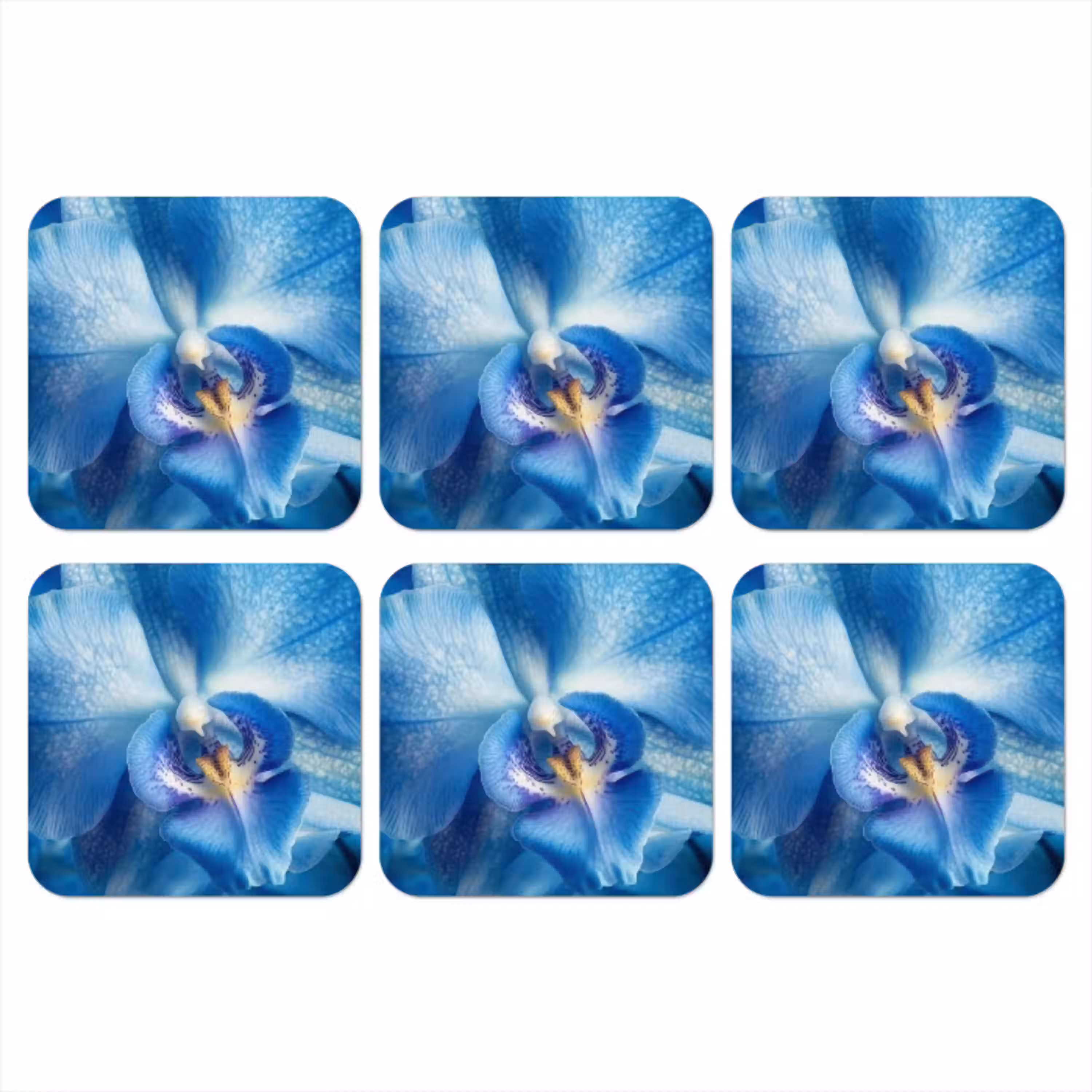 Blauw - Orchidee - Elegeant onderzetter kurk middel -3d