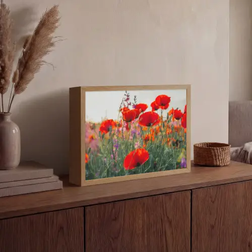 Klaproos - Bloemen - Rood - Paars - Weide Light Box met batterij (Wandlamp) middel -sfeer2