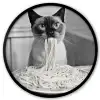 Kat - Siamees - Zwart Wit - Schattig - Dieren Fotolijst rond zonder passe partout klein -3d