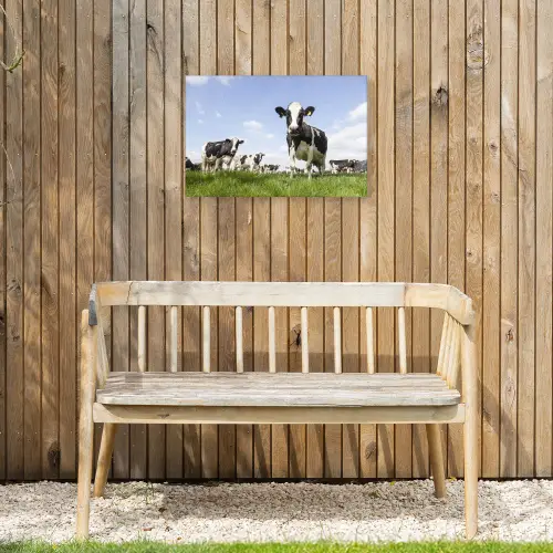 Koeien in de weide onder een heldere lucht Tuinposter op houten frame 2 cm dik klein -sfeer4