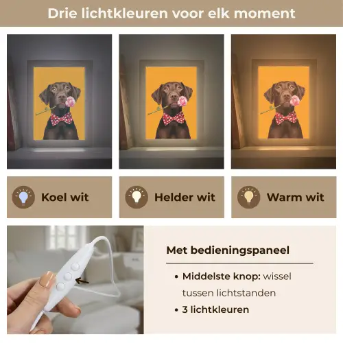 Hond - Oranje - Roos - Valentijn Light Box met kabel (Tafellamp) klein -USP_lichtkleurNL
