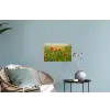 Lente - Bloemen - Rood - Klaproos - Gras - Groen Muursticker klein -plant