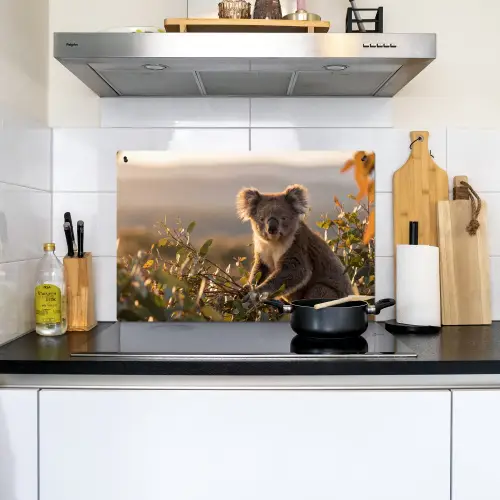 Koala - Bladeren - Ochtendlicht Inductie beschemer met haakjes klein -sfeer2