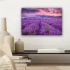 Lavendel - Paars - Bloemen - Veld canvas 2cm klein -sfeer6