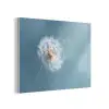 Paardenbloem - Wind - Blauw PET vilt klein -3d