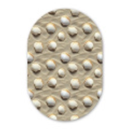 Schelpen - Zand - Maritiem Wandcirkel Ovaal Aluminium middel 839 -3d