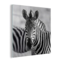 Zebra's - Zwart - Wit plexiglas 5mm klein -z3d