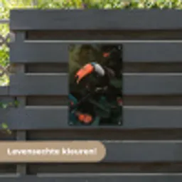 Toekan - Vogel - Vlinder tuinposter los doek klein -sfeer3