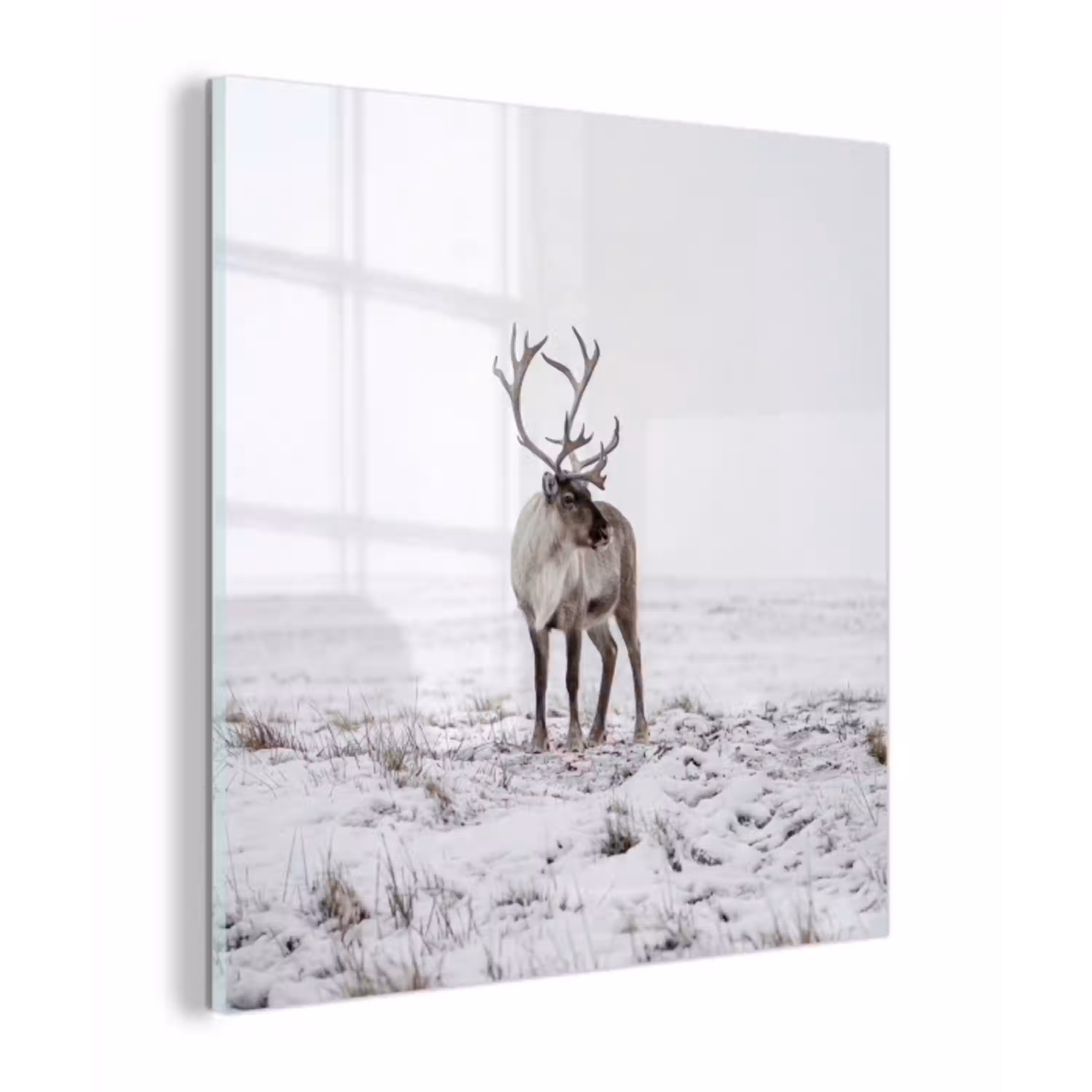 Rendier - Gewei - Sneeuw - Winter plexiglas 5mm klein -z3d
