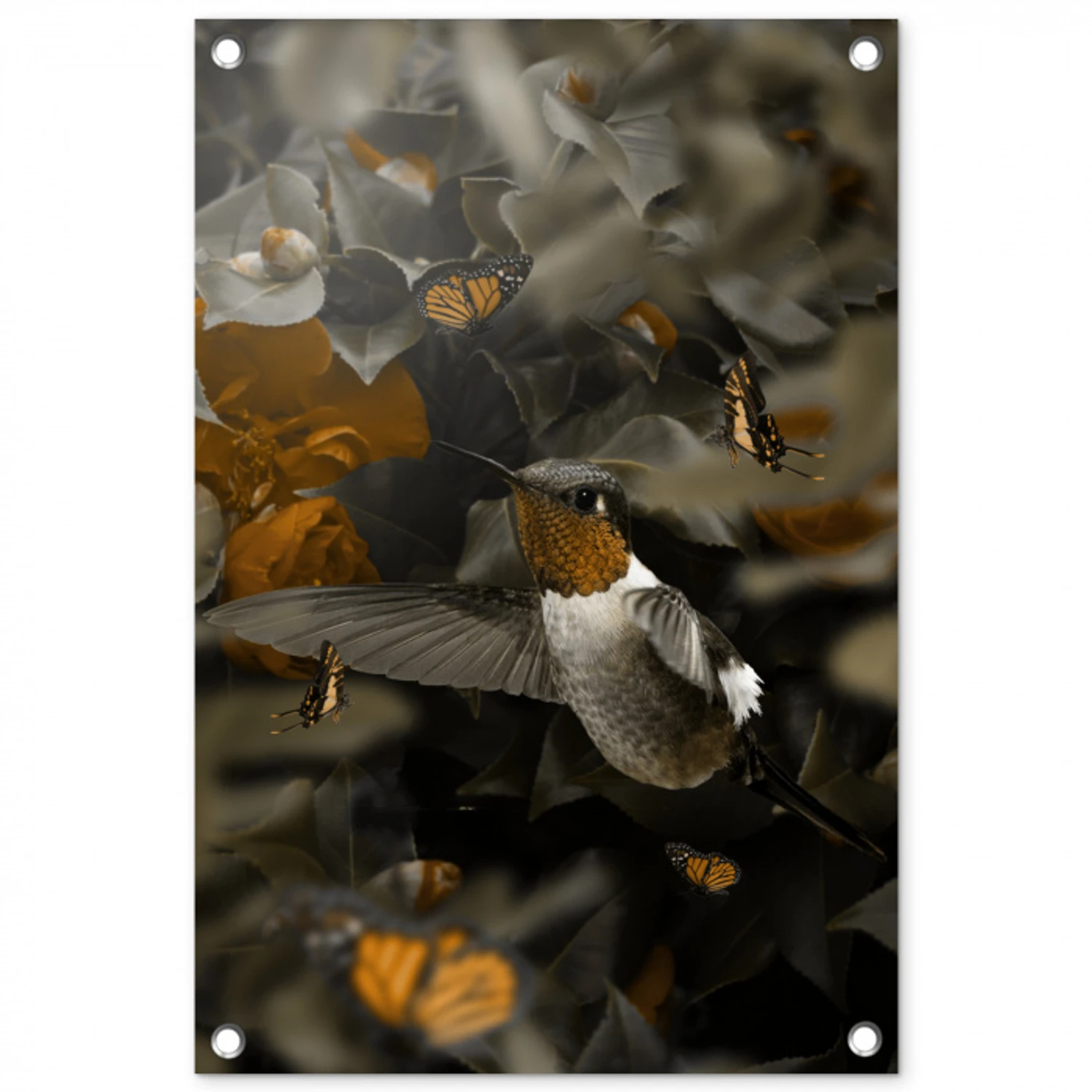 Vogel - Kolibrie - Goud tuinposter los doek klein -3d