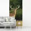 Hert - Gewei - Gras - Natuur - Dieren - Groen fotobehang vinyl groot -woonkamer