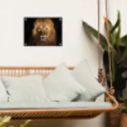 Leeuw in het avondlicht tuinposter los doek klein -sfeer7