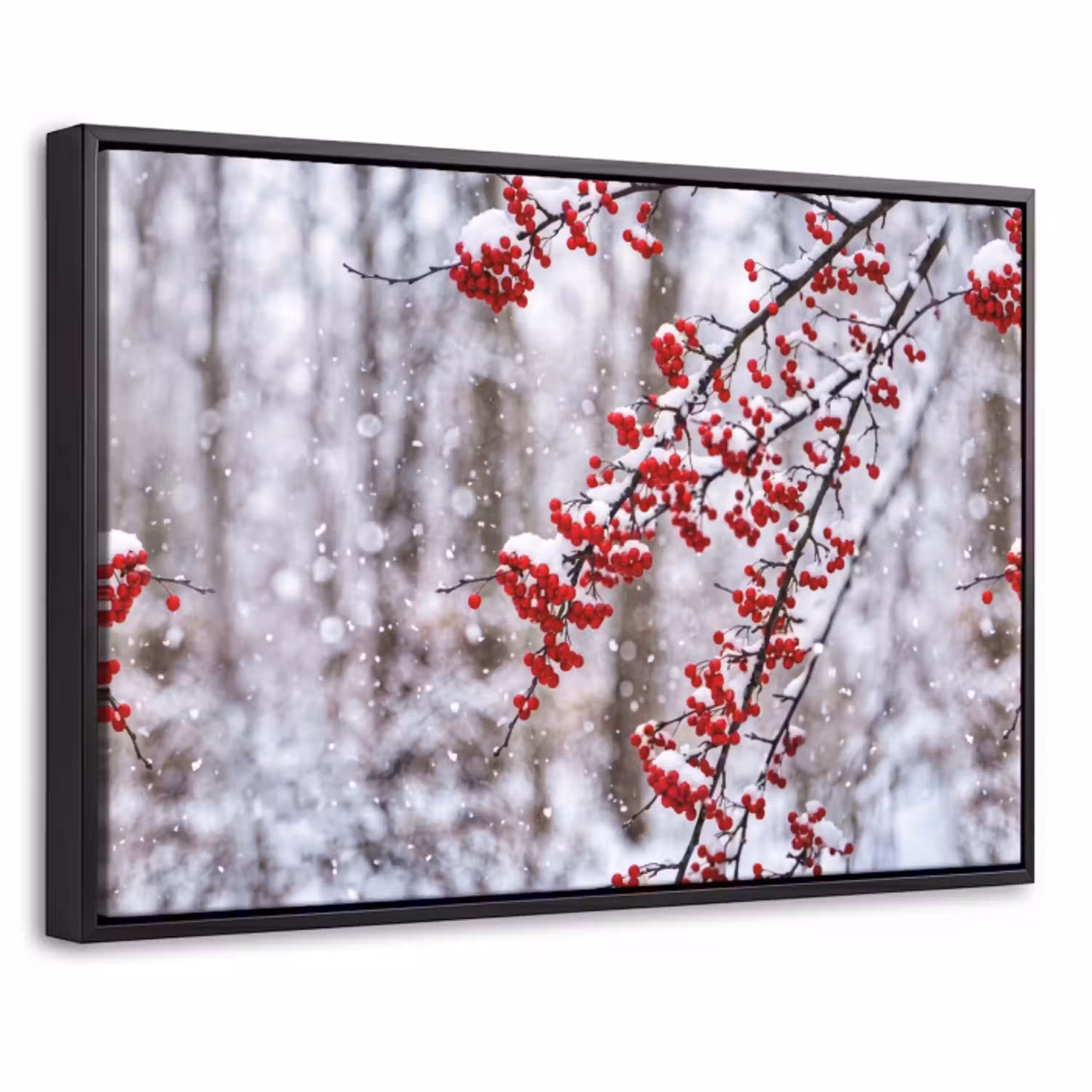 Bessen - Takken - Sneeuw - Winter - Kleurrijk Canvas met baklijst klein -threedimensional_3d_global