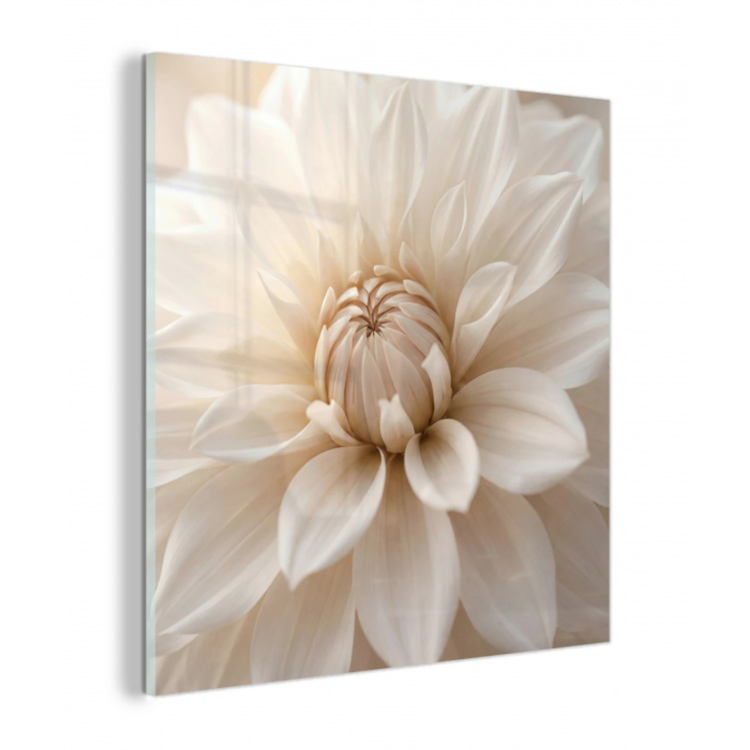 Bloem - Dahlia - Wit plexiglas 5mm klein -z3d
