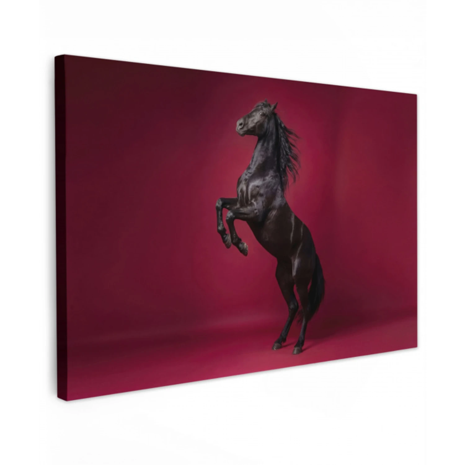 Hengst - Steigert - Rood Tuinposter op houten frame 2 cm dik klein -3d