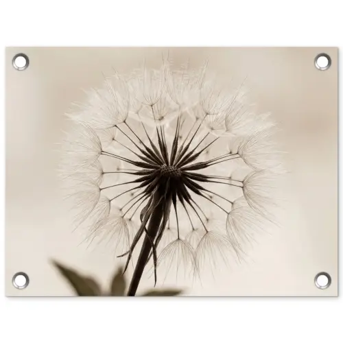 Paardenbloem - Minimalistisch - Wit tuinposter los doek klein -3d