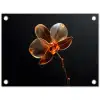 Orchidee - Doorzichtig - Bloem tuinposter los doek klein -3d