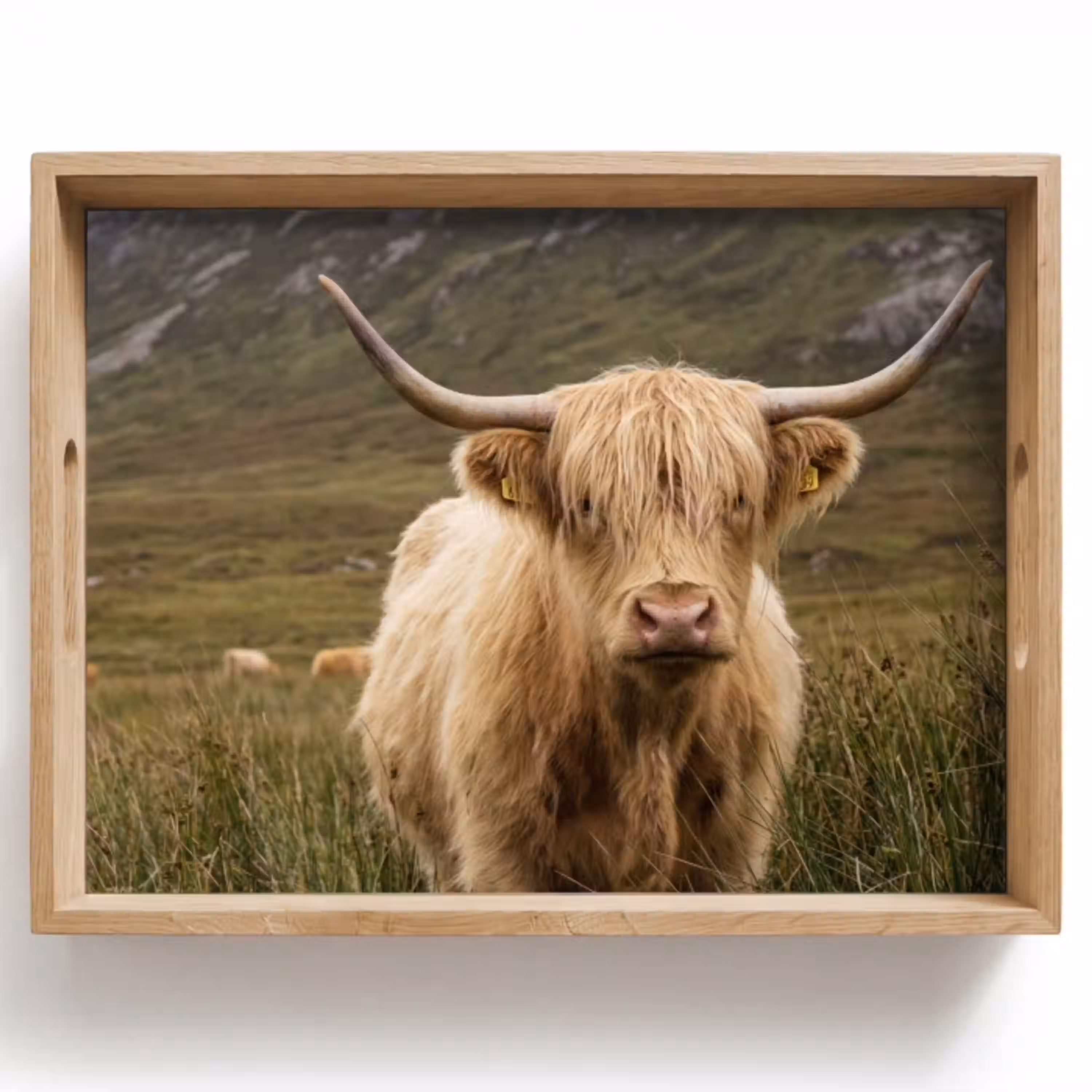 Schotse hooglander - Bergen - Grasveld Dienblad Rechthoek middel -z3d_shopping