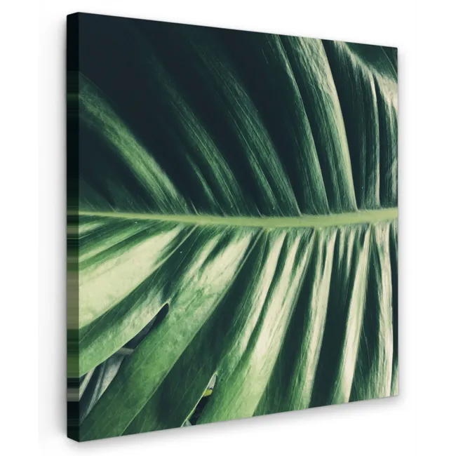 Bladeren - Tropisch - Jungle Tuinposter op houten frame 2 cm dik klein -3d